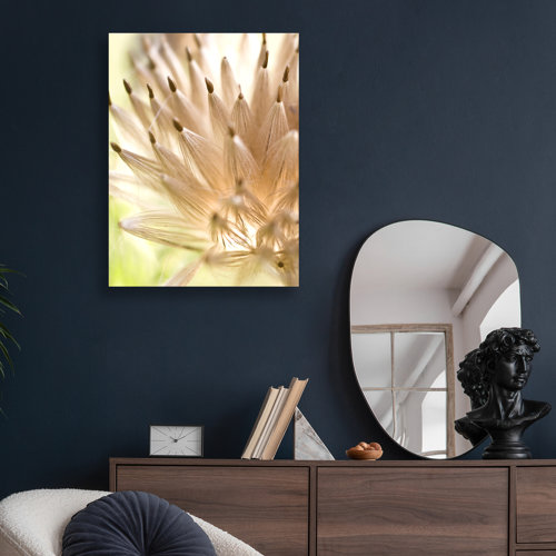 Dandelion | Wayfair